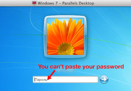 cant-paste-password